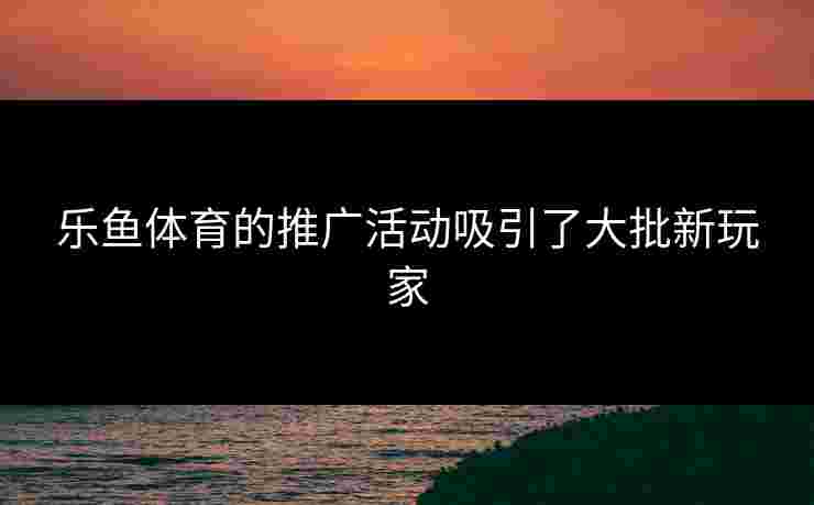乐鱼体育的推广活动吸引了大批新玩家