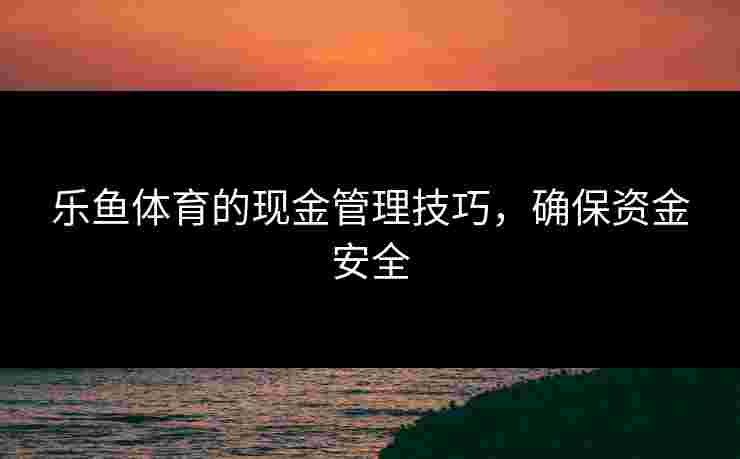 乐鱼体育的现金管理技巧，确保资金安全