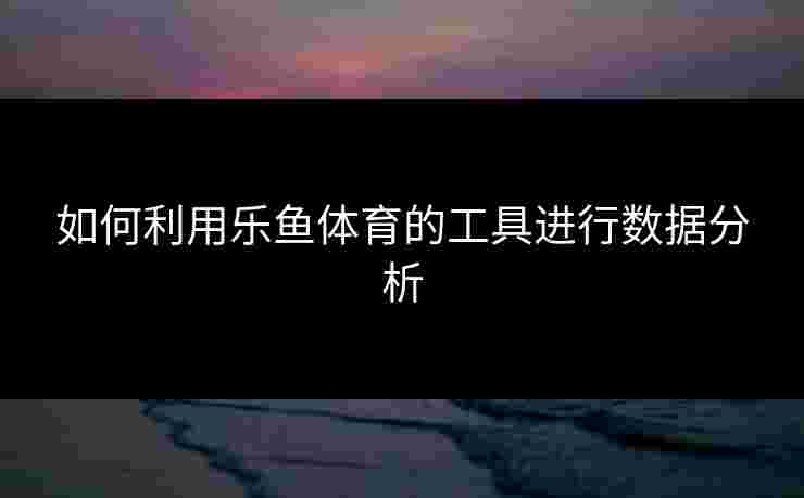 如何利用乐鱼体育的工具进行数据分析